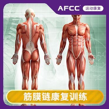 广州筋膜链康复训练课程