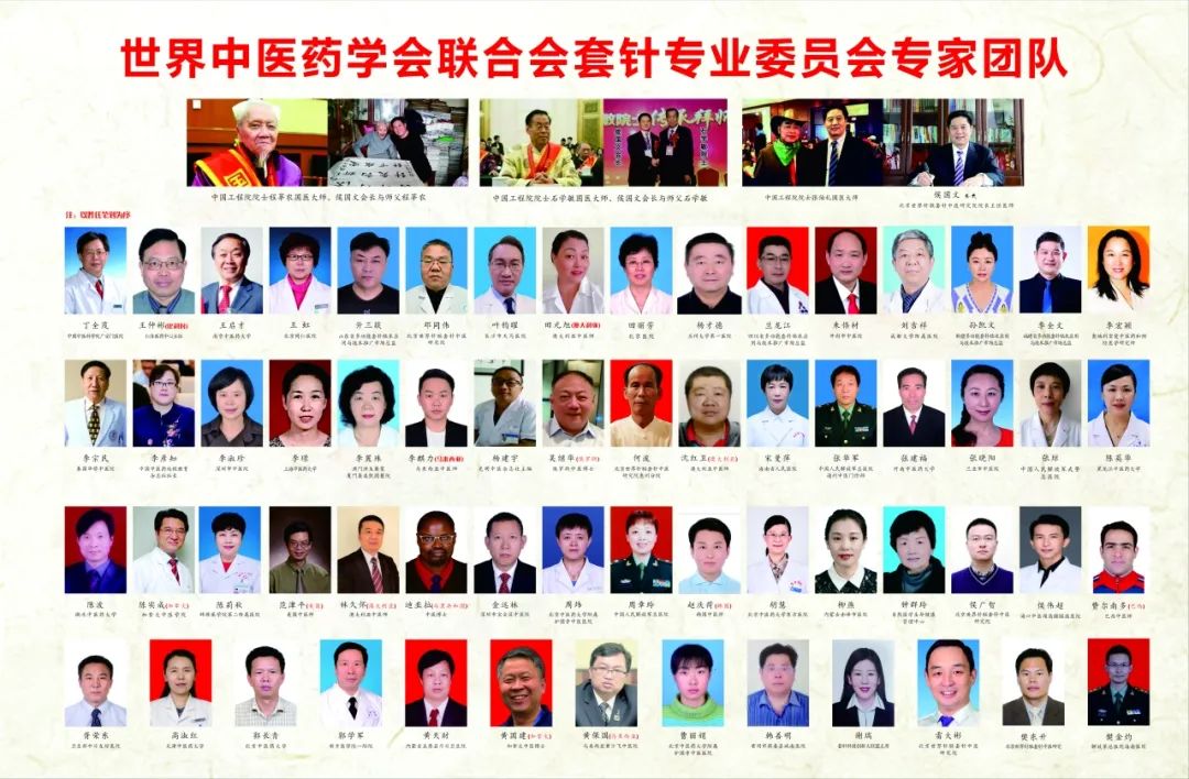 国家中医药管理局继教项目侯国文教授多功能套针技术培训班